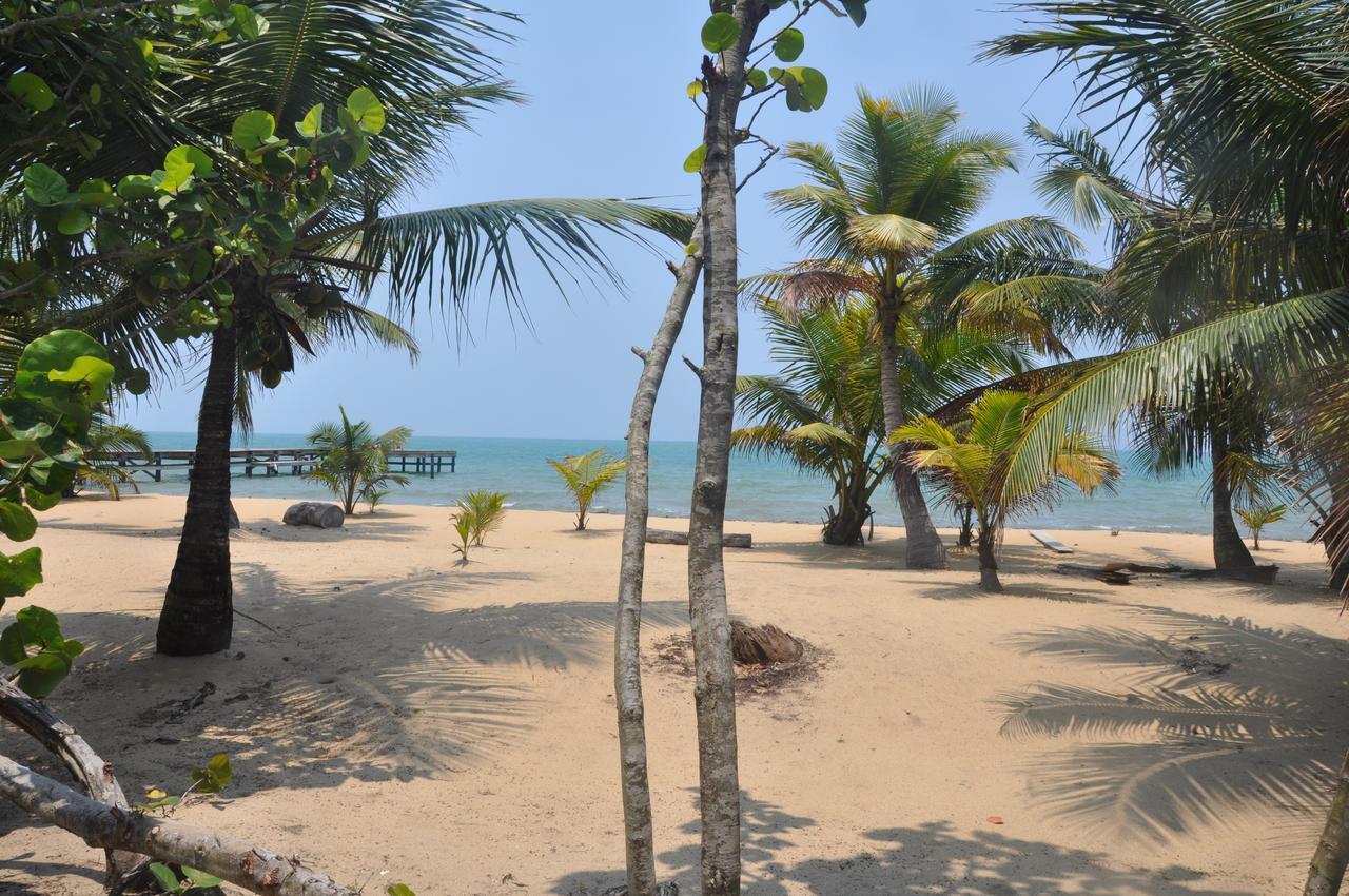 Sabal Beach Hotel Monkey River Town Bagian luar foto