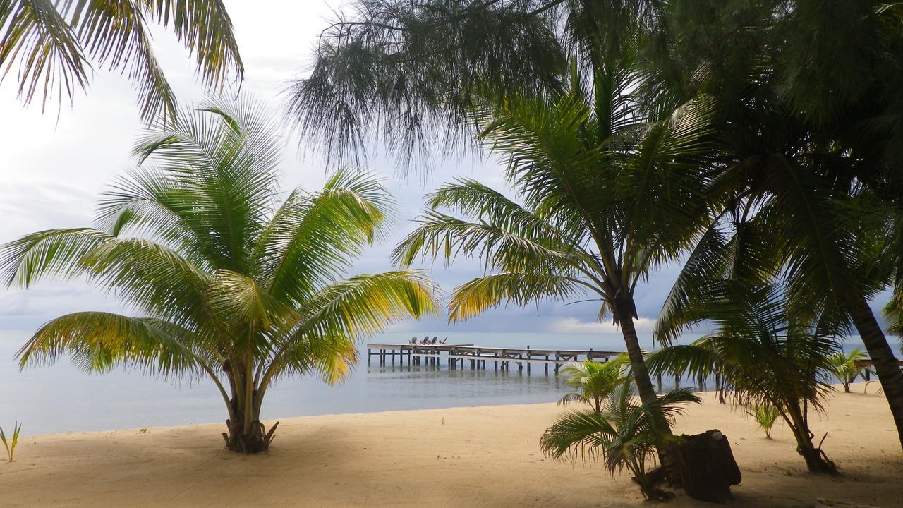 Sabal Beach Hotel Monkey River Town Bagian luar foto