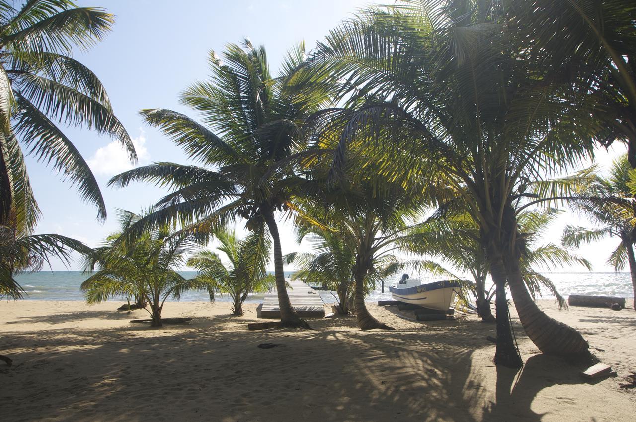 Sabal Beach Hotel Monkey River Town Bagian luar foto
